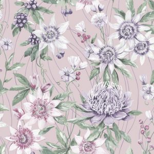 Passiflora Pink