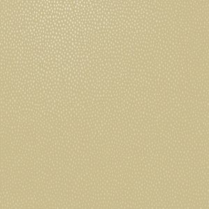 Pinto Ochre