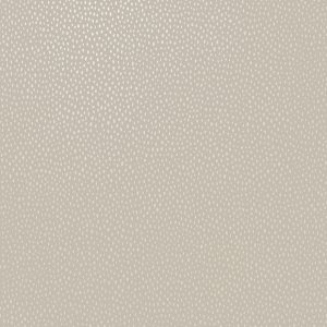 Pinto Beige