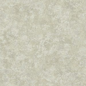 Patina Texture Grey