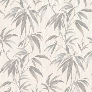 Fargesia Grey