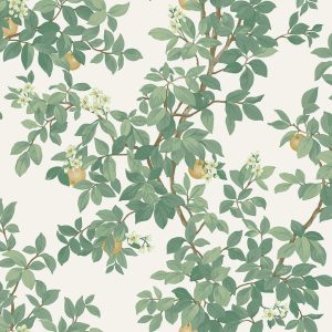 Orange Tree Cream Green