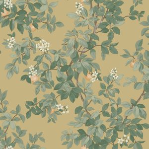 Orange Tree Ochre