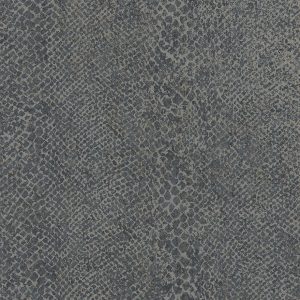 BOA NAVY