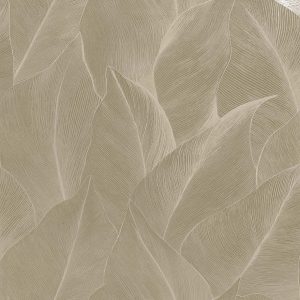 ANTHURIUM BEIGE