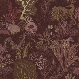 NAUTILUS Berry